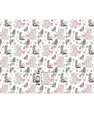 Zuikis Likutis 100X120
